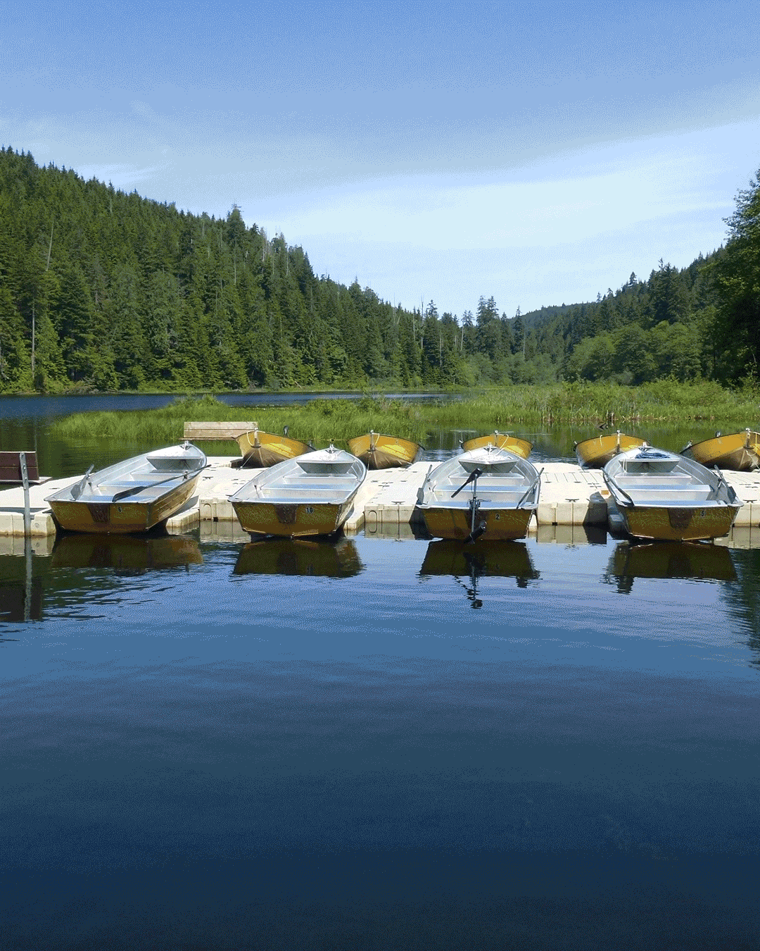 Jim Creek Fishing and Boating