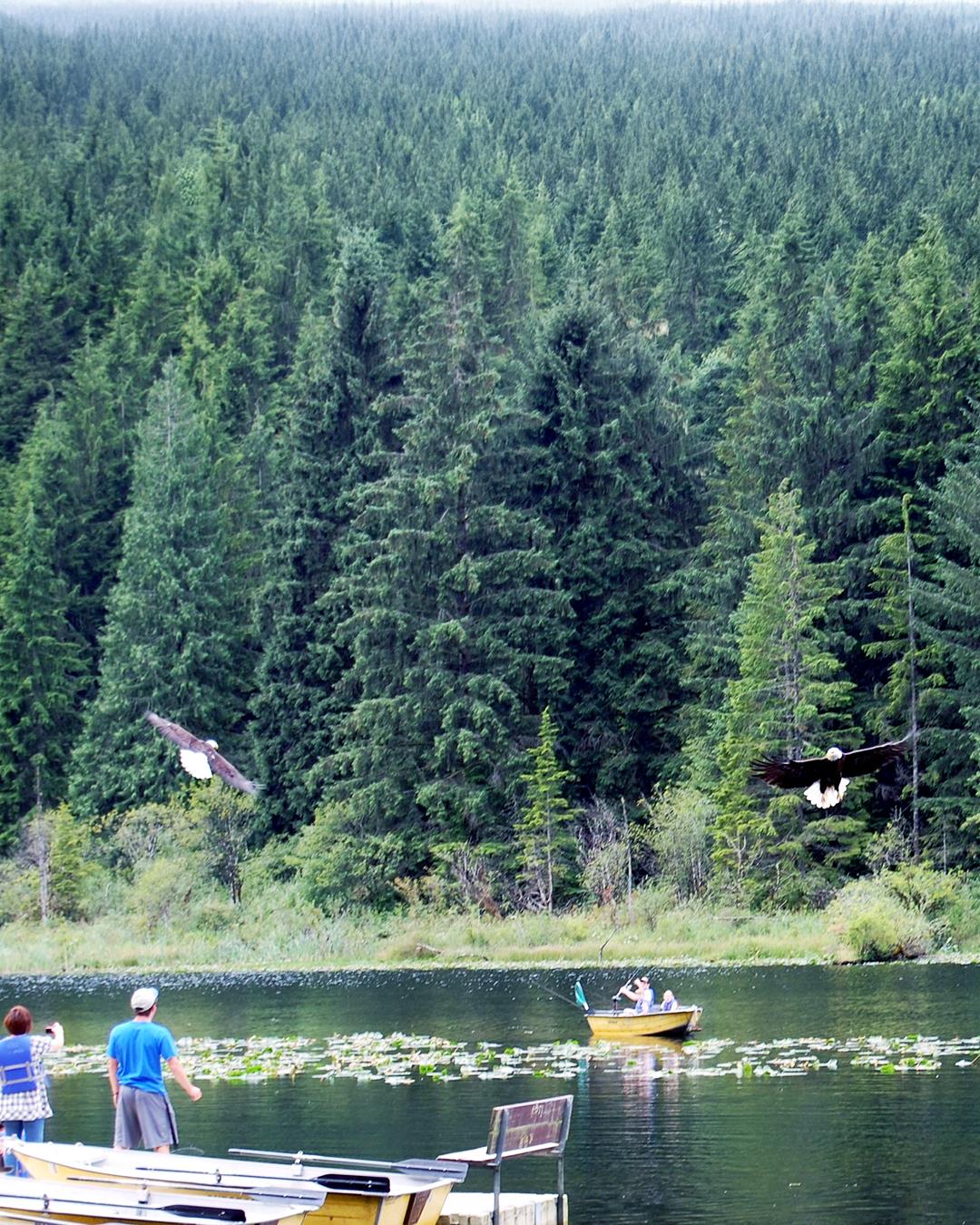 Jim Creek Bird Watching