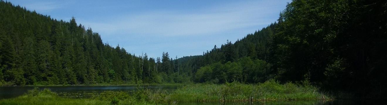 PNW_Web_Header_Jim_Creek_Recreation_Area_05.jpg